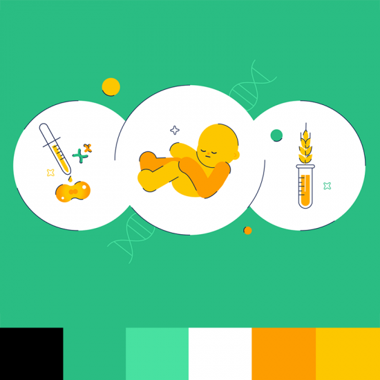 green-orange-palette